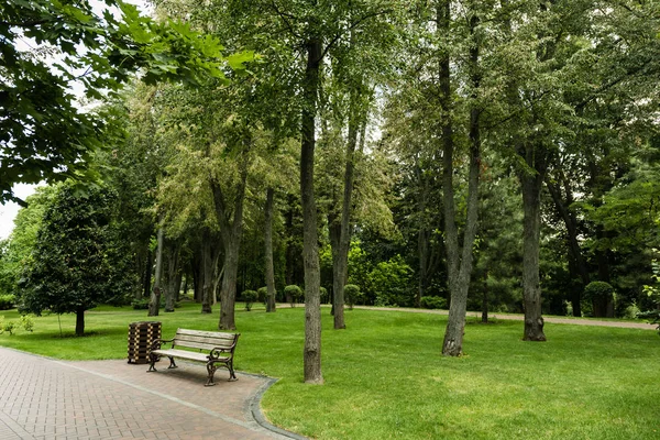 wooden bench near path and trees on fresh grass 