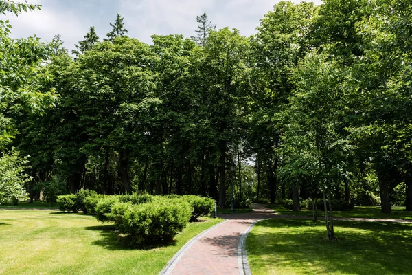 sunshine on path with shadows from trees in summer park 