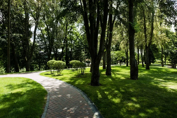 sunlight on path with shadows from trees and bushes in summer park 