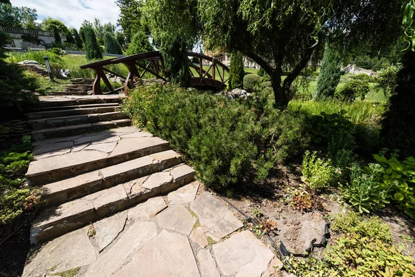 Grüne Büsche Und Steine Der Nähe Von Treppen Und Holzbrücke — Stockfoto