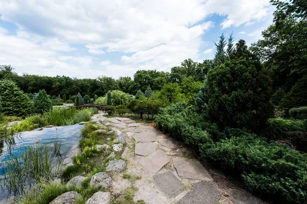 Sentier Près Pierres Étang Arbres Verts Avec Des Feuilles Fraîches — Photo