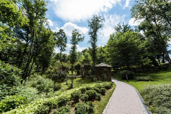 Weg Der Nähe Grüner Bäume Und Bauarbeiten Park — Stockfoto