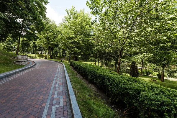 Paving Stones Path Green Trees Bushes Park — Stock Photo, Image