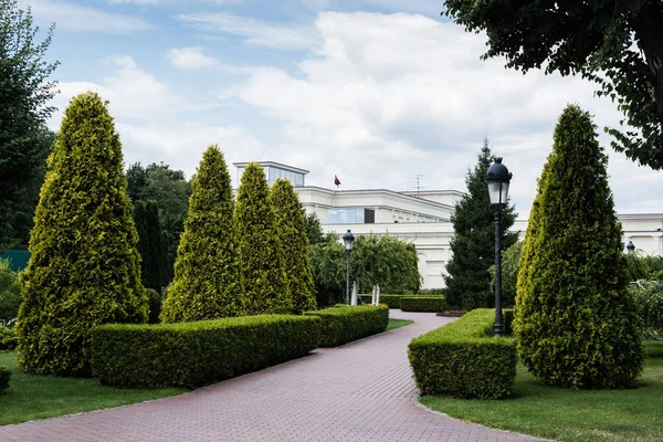 Allée Lampadaire Sapins Verts Près Maison Blanche — Photo