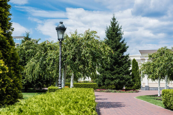 selective focus of street lamp near bushes and green trees in park 