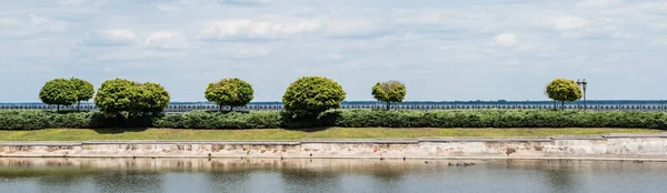 Plan Panoramique Feuilles Vertes Sur Les Arbres Près Lac Contre — Photo