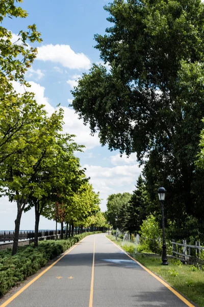 Тіні Шляху Жовтою Лінією Біля Зелених Дерев Свіжим Листям — стокове фото
