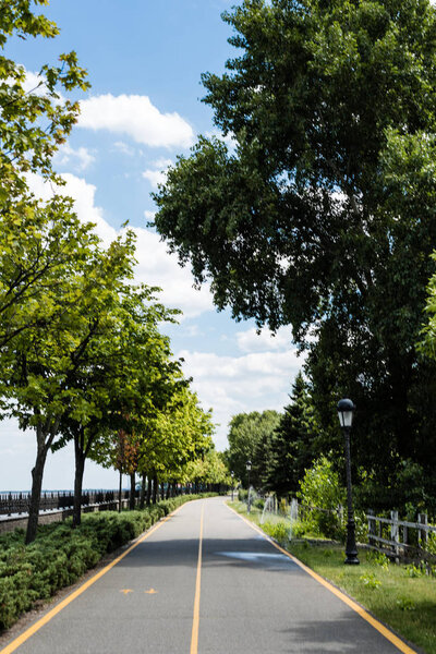shadows on path with yellow line near green trees with fresh leaves 