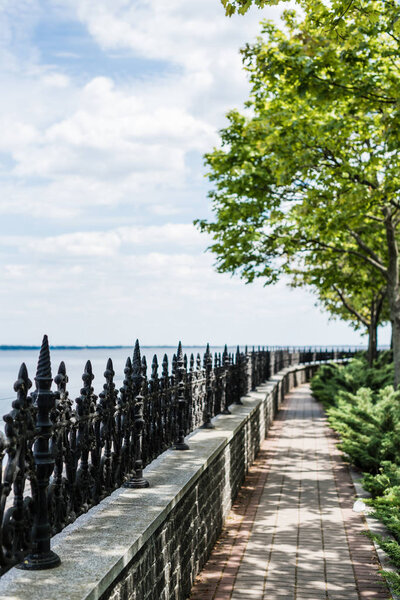 selective focus of metallic fence near trees and sea in summer 