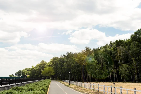 Sunshine Green Park Trees Bushes Summer — Stock Photo, Image