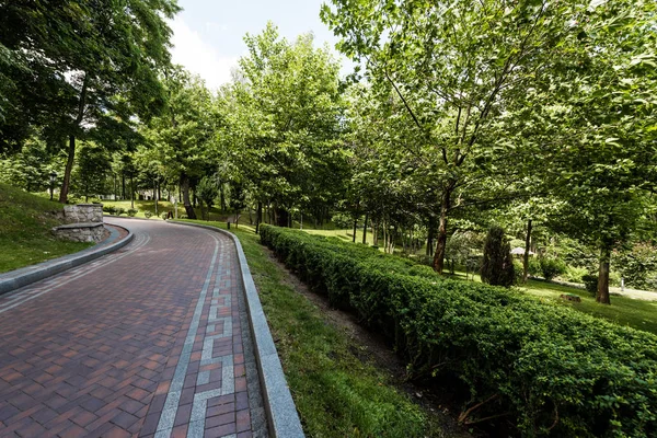 Paving stones on path near green trees and bushes in park — Stock Image Paving Stones Path Green Trees Bushes Park Stock Photo