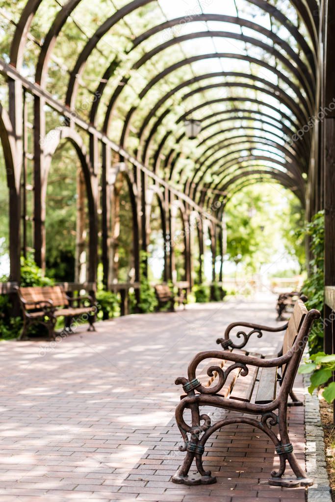selective focus of wooden bench near green leaves and walkway with paving stones 