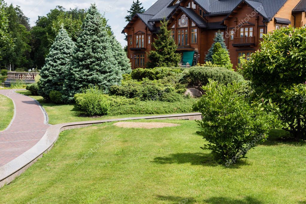 Green trees and pines near house and walkway in summertime