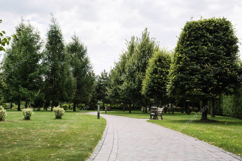 green pine trees on grass near walkway against sky with clouds 