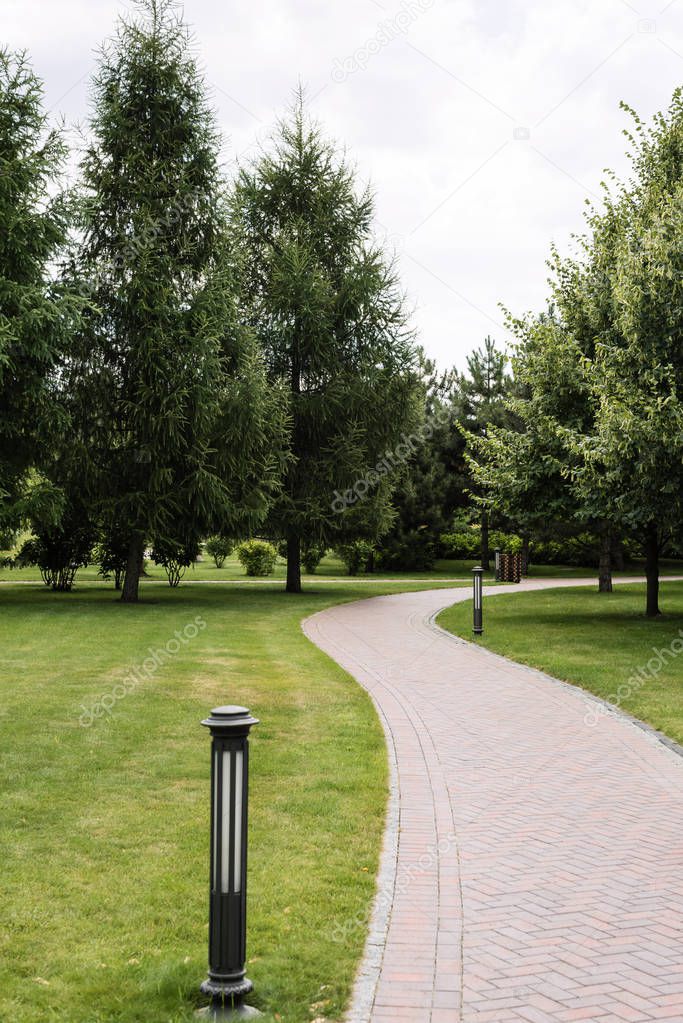 selective focus of outdoor lamp near path and trees on green grass 