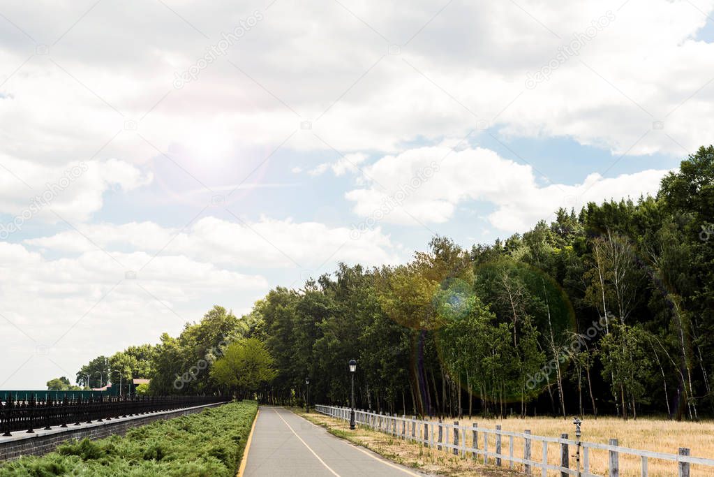 sunshine on green park with trees and bushes in summer