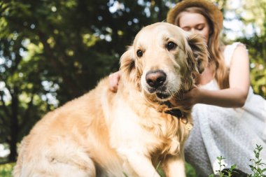 kapalı gözlerle çayırda otururken beyaz elbise ve hasır şapka petting altın retriever kız seçici odak 