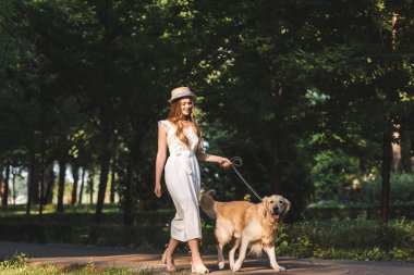 beyaz elbise ve hasır şapka altın retriever ile yürüyüş ve uzağa bakan güzel kız tam uzunlukta görünümü 