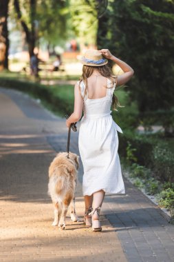 beyaz elbise ve hasır şapka yolda altın retriever ile yürüyüş kız geri görünümü 