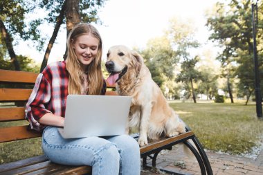 parkta ahşap bankta oturan ve altın retriever kadının yanında otururken dizüstü bilgisayar kullanarak rahat giysiler içinde güzel kız 