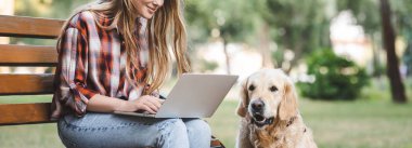 golden retriever yakınındaki parkta ahşap bankta otururken dizüstü bilgisayar kullanarak rahat giysiler içinde güzel kız panoramik çekim