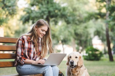 golden retriever yakınındaki parkta ahşap bankta otururken dizüstü bilgisayar kullanarak rahat giysiler içinde güzel kız