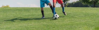 çim üzerinde futbol oynayan çok kültürlü çocukların panoramik çekim 
