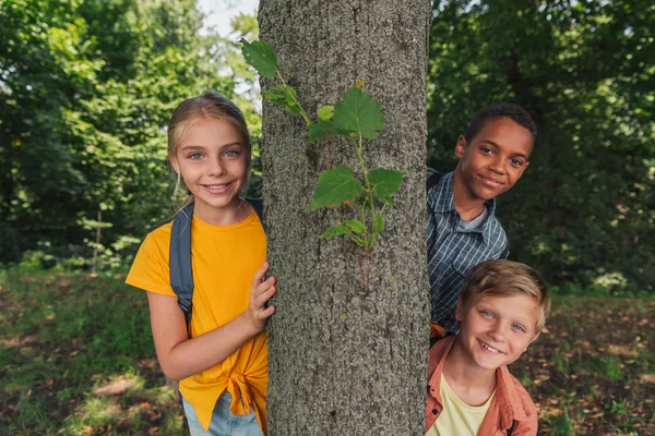 Gelukkig Multiculturele Kinderen Glimlachen Buurt Van Tree Trunk — Stockfoto