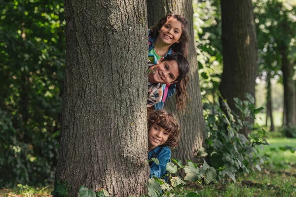 Meninos Felizes Sorrindo Perto Tronco Árvore Com Amigo Adorável — Fotografia de Stock