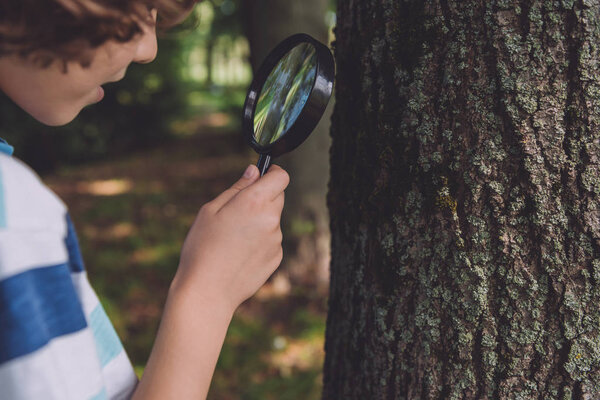 cropped view of boy looking through magnifier while standing near tree trunk 