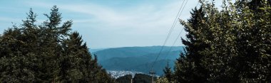 bulutlar ile mavi gökyüzüne karşı dağların yakınında ağaçların panoramik çekim