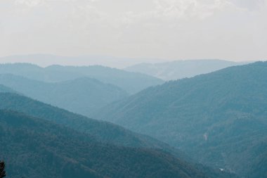 gökyüzüne karşı yeşil ağaçlar ile doğal dağ vadisi 