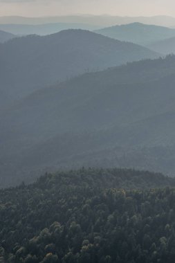 sis ile dağlarda yeşil köknar ağaçları 