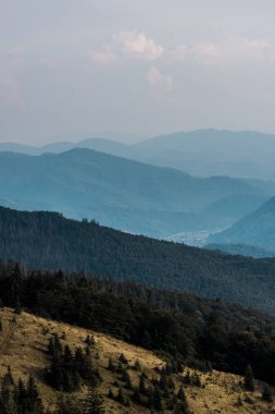 bulutlar ile gökyüzüne karşı yeşil ağaçlar ile dağlarda çayır 