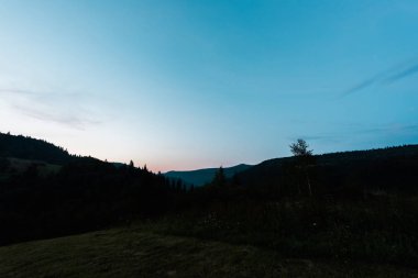 mavi gökyüzüne karşı karanlık ormanda gün batımı 