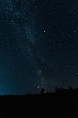 geceleri karanlık ormanda gökyüzünde samanyolu 