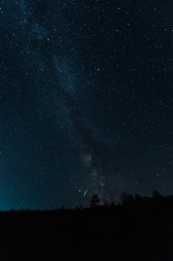 milky way on sky in dark forest at night  clipart