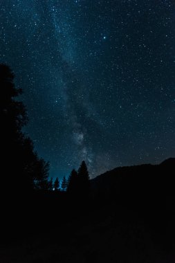 milky way on blue sky in woods at night  clipart