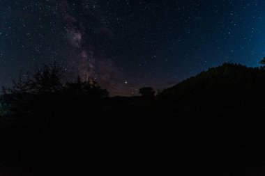 gece gökyüzü yıldızlarla ormanda parlıyor 