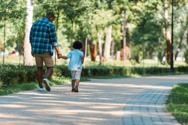 kıvırcık çocuk afrikalı Amerikalı babası ile el ele tutuşan ve parkta yürüyüş geri görünümü