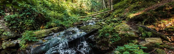 panoramic shot of flowing river near stones in woods