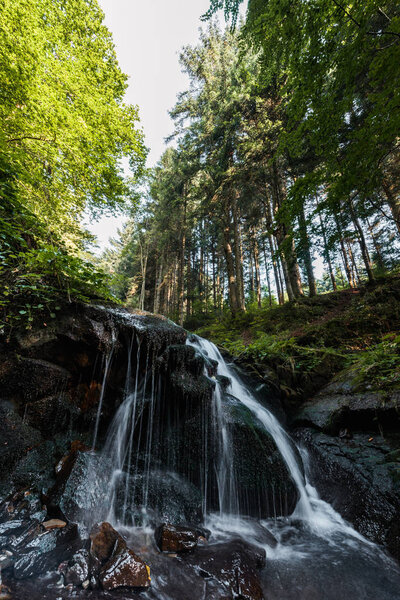 water falling on wet stones in woods