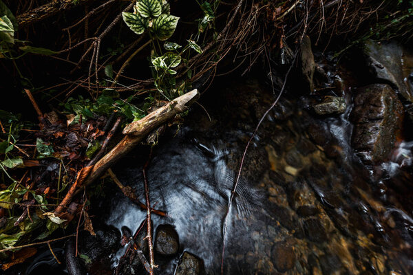 selective focus of green leaves near flowing steam 