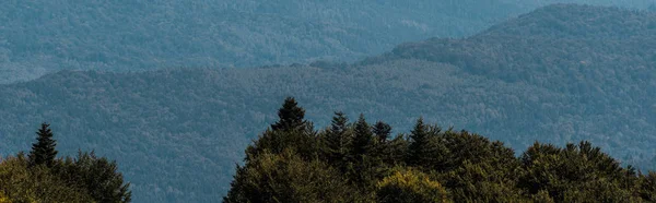 panoramic shot of tranquil mountains near green trees 
