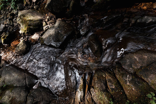 top view of water flowing on wet stones in forest 