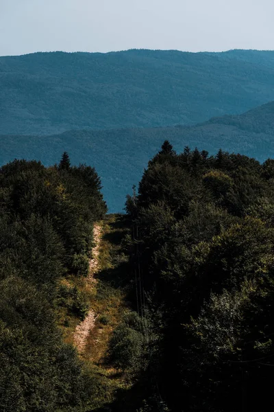 Camino Cerca Árboles Verdes Montañas Tranquilas —  Fotos de Stock
