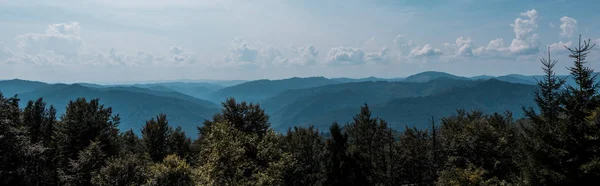 Panoramaaufnahme Von Bäumen Und Bergen Vor Wolkenverhangenem Himmel — Stockfoto