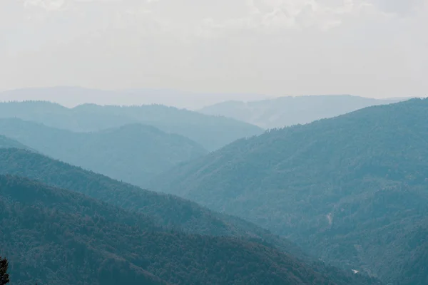 Gökyüzüne Karşı Yeşil Ağaçlar Ile Doğal Dağ Vadisi — Stok fotoğraf