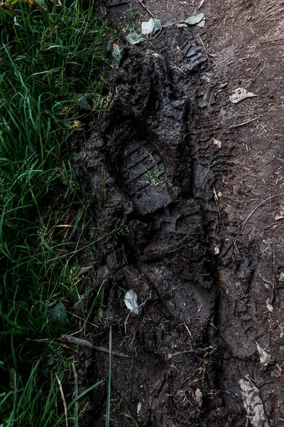 Fußabdrücke Auf Schmutzigem Boden Mit Schlamm Nahe Grünem Gras — Stockfoto
