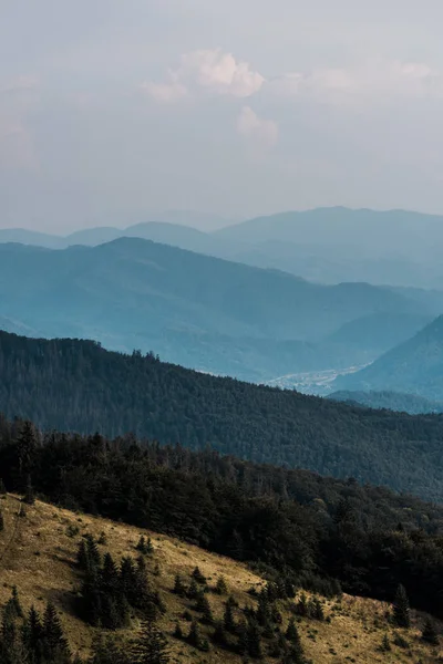 meadow in mountains with green trees against sky with clouds 